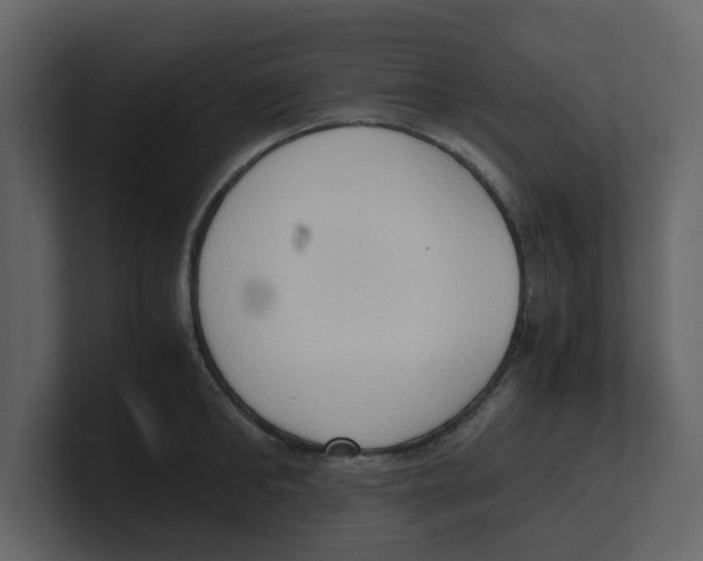 X0000100480902200807111059