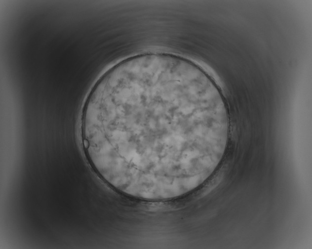 X0000100480903200807111059