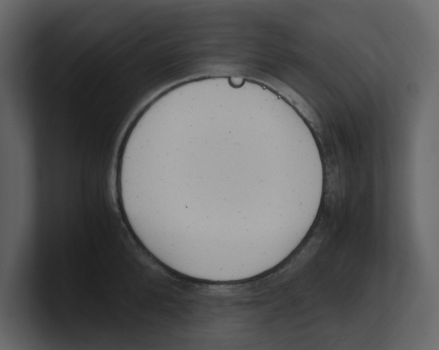 X0000100480904200807111059