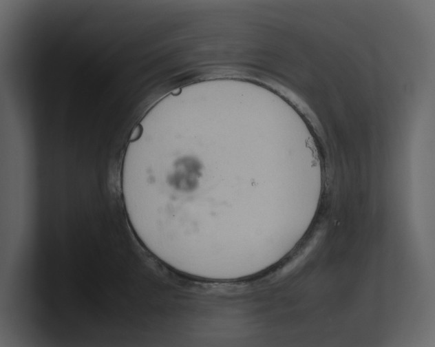 X0000100480905200807111059