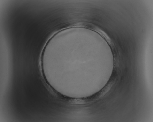 X0000100480907200807111059