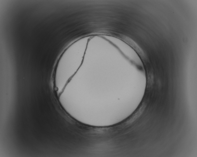 X0000100480908200807111059