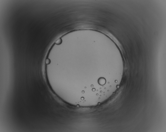 X0000100480909200807111059