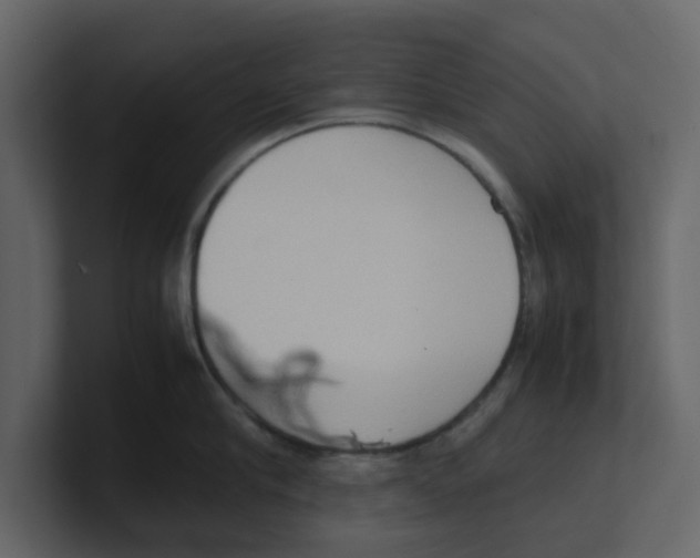 X0000100480910200807111059