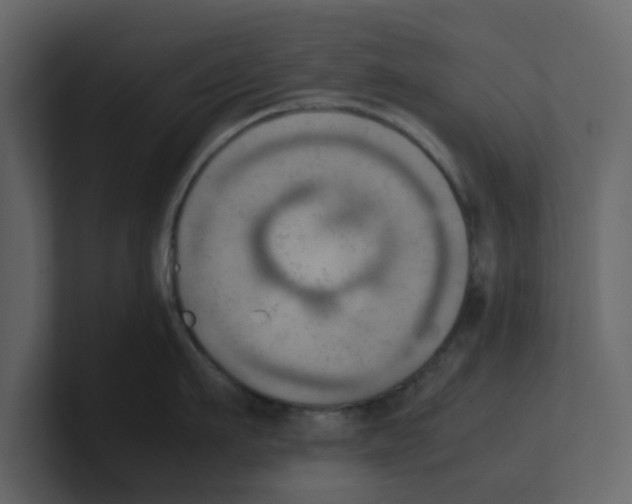 X0000100480911200807111059