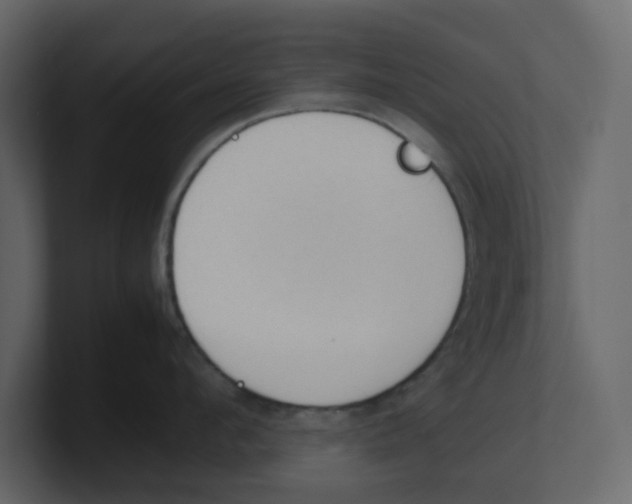 X0000100480912200807111059