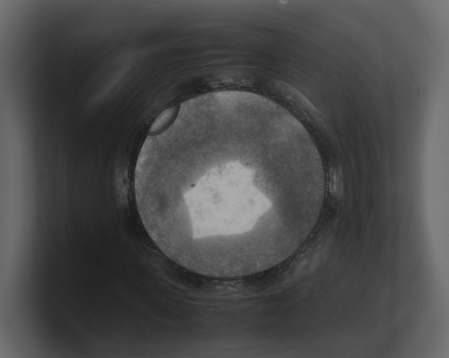 X0000100480915200807111058