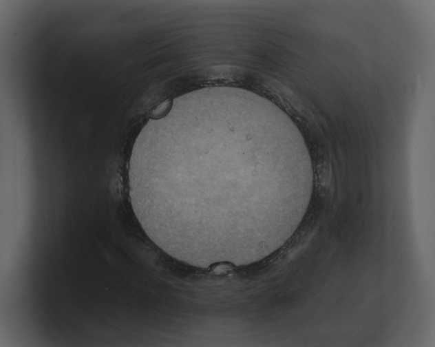 X0000100480916200807111058