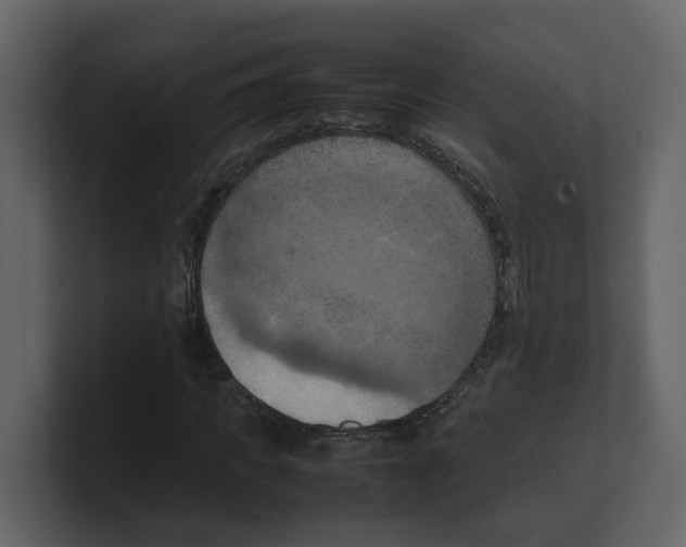 X0000100480917200807111058