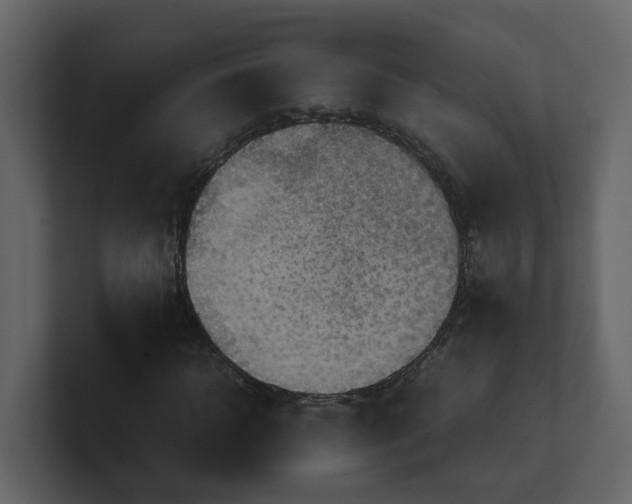 X0000100480918200807111058