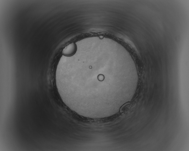 X0000100480920200807111058