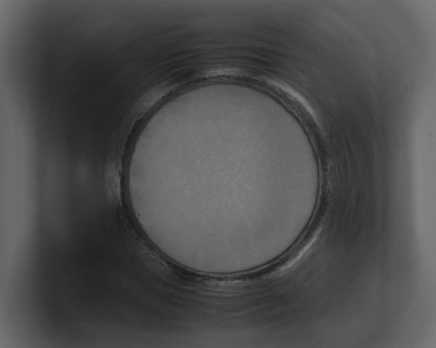 X0000100480921200807111058