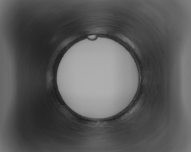 X0000100480922200807111058