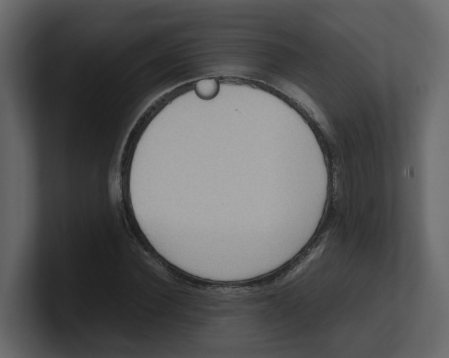 X0000100480924200807111058