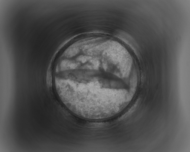 X0000100480925200807111058