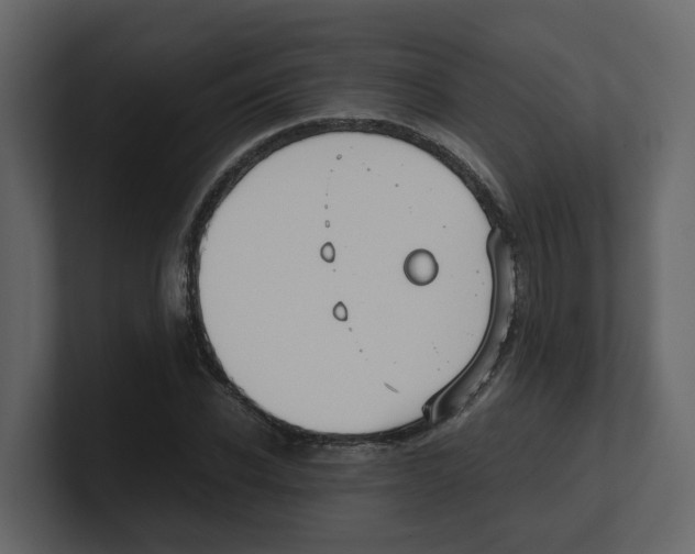 X0000100480926200807111058