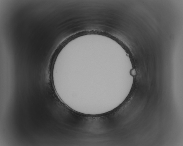 X0000100480927200807111058