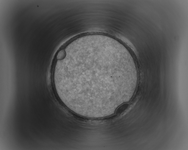 X0000100480928200807111058