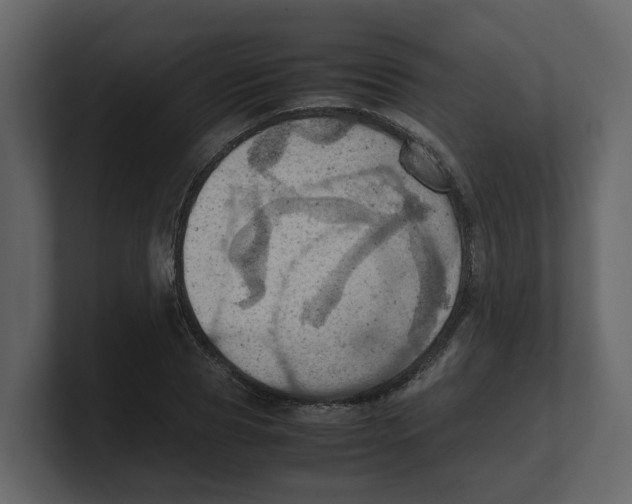 X0000100480929200807111058