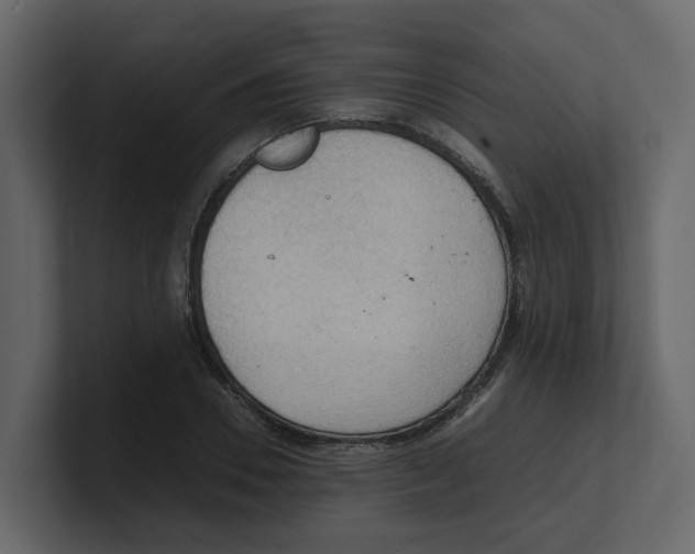 X0000100480930200807111058