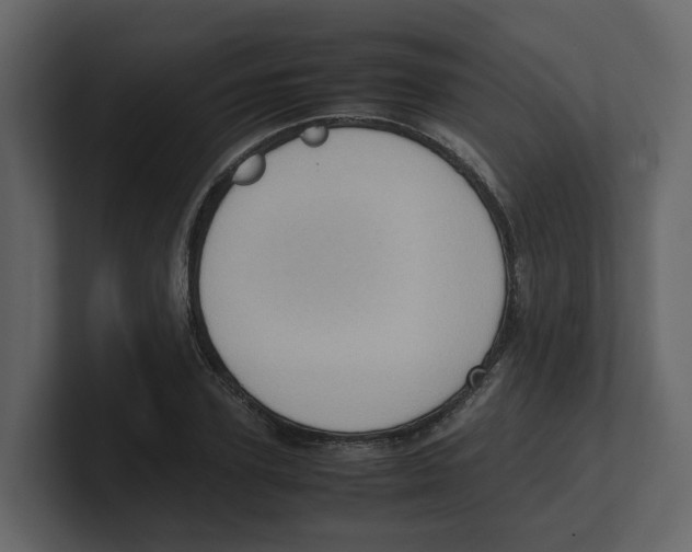 X0000100480931200807111058