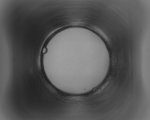 X0000100480932200807111058