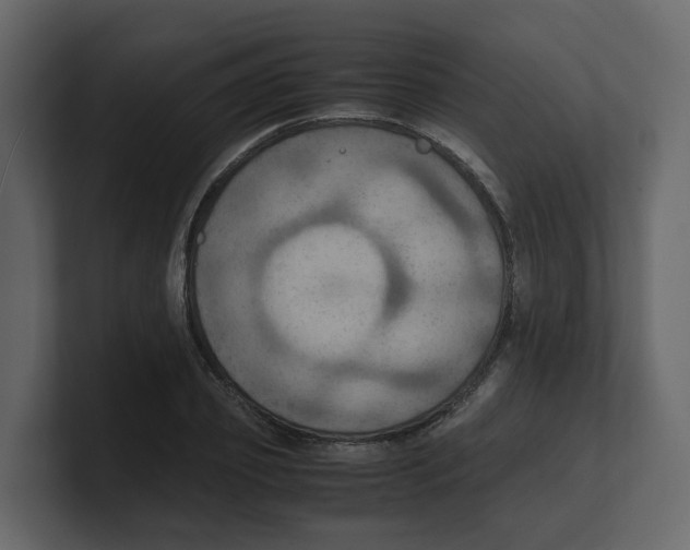 X0000100480933200807111058