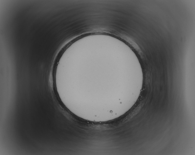 X0000100480936200807111058