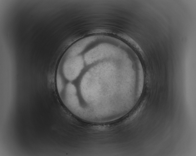 X0000100480937200807111058