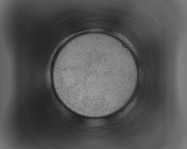 X0000100480939200807111058