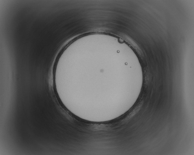 X0000100480940200807111058