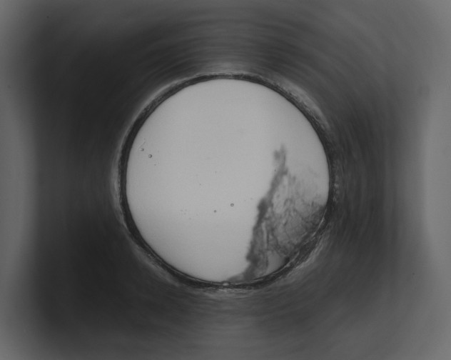 X0000100480942200807111058