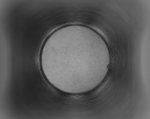 X0000100480943200807111058