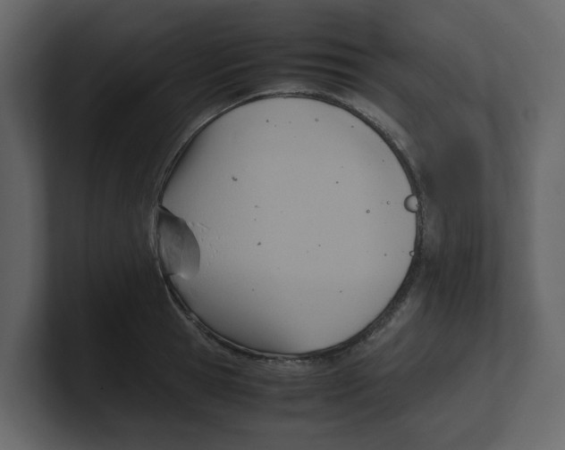 X0000100480945200807111058