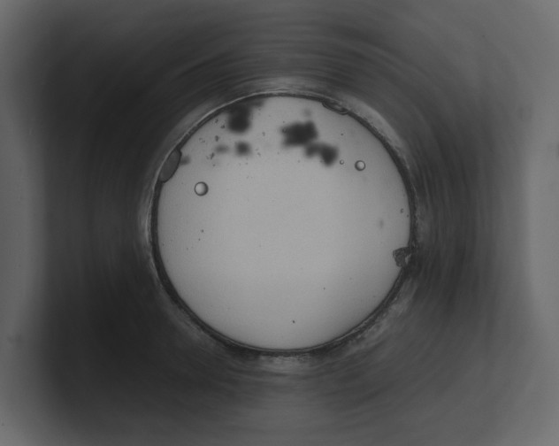 X0000100480946200807111058