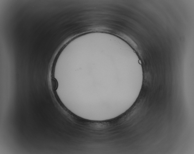 X0000100480947200807111058