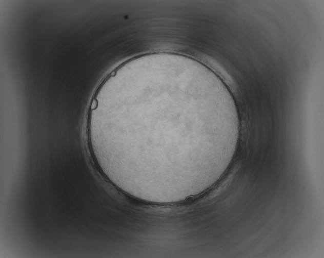 X0000100480948200807111058