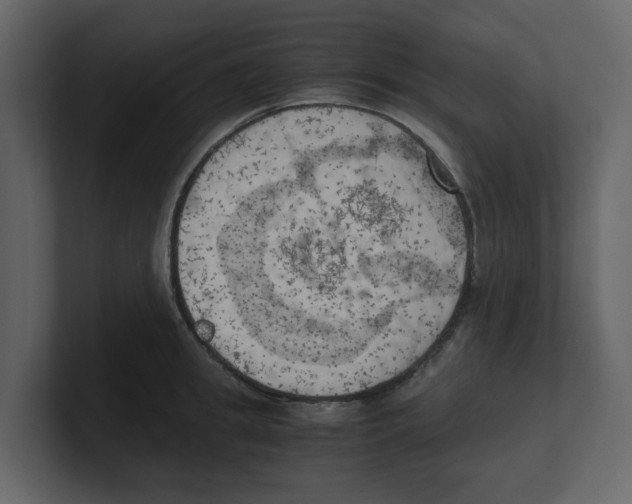 X0000100480949200807111058