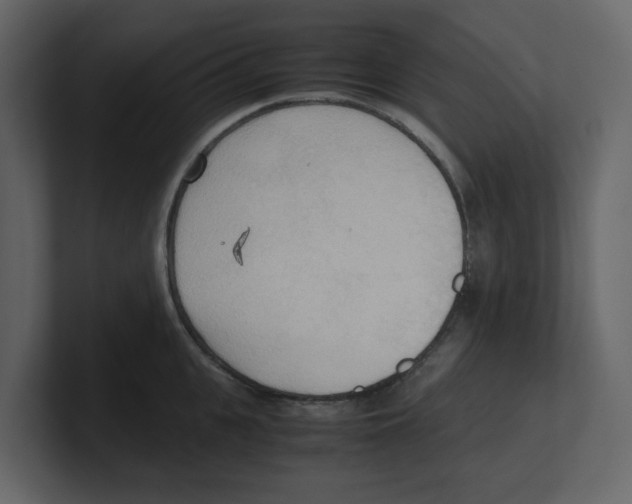 X0000100480951200807111058