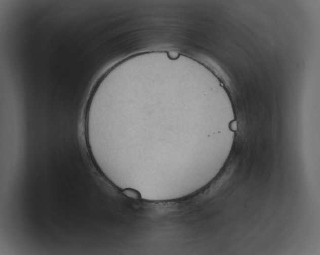 X0000100480952200807111058