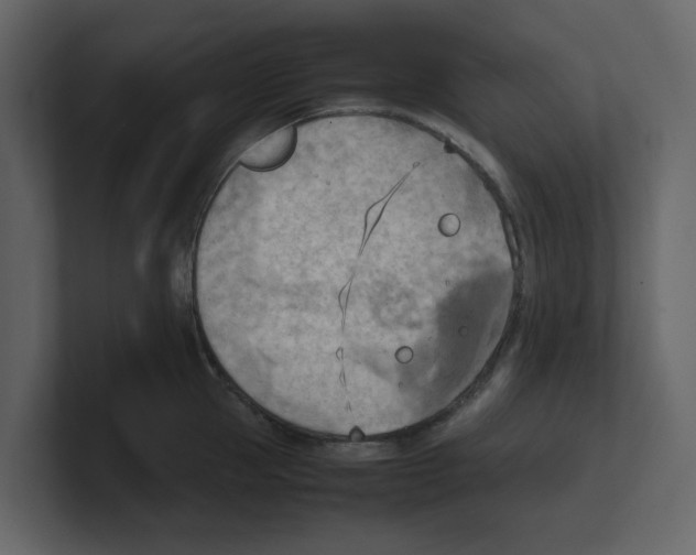 X0000100480953200807111058