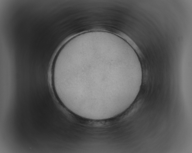 X0000100480955200807111058