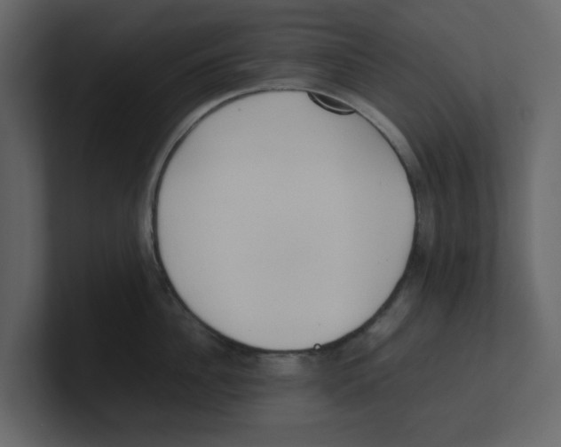 X0000100480956200807111058