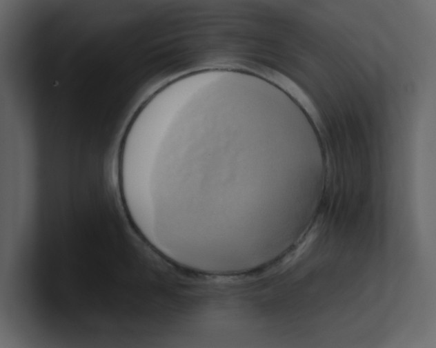 X0000100480958200807111059