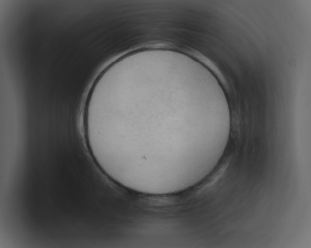 X0000100480959200807111059