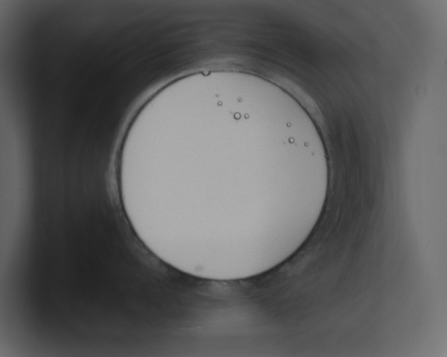 X0000100480960200807111059