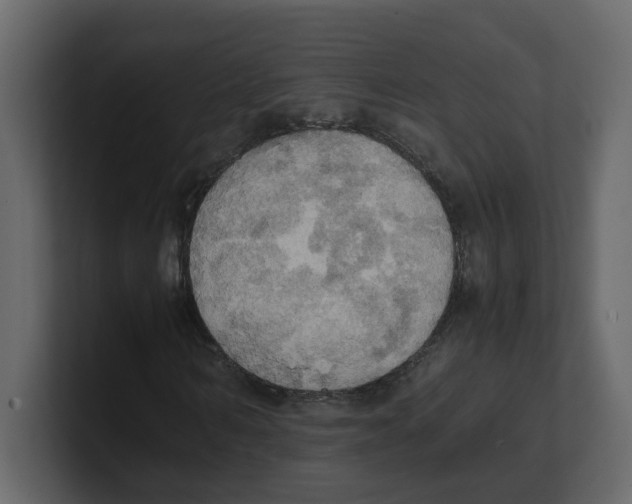 X0000100480962200807111058