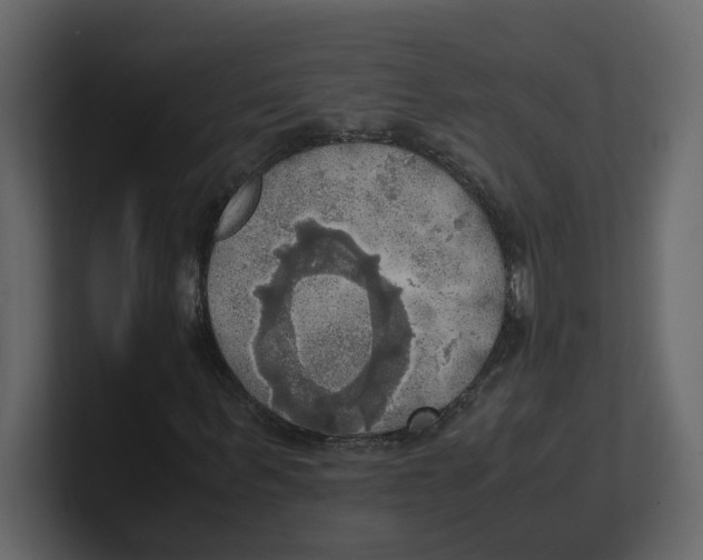 X0000100480963200807111058