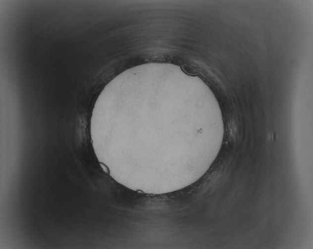 X0000100480964200807111058