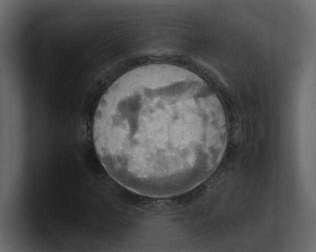 X0000100480966200807111058